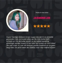 DONGOODS® Toiletblokjes Voor Inbouwreservoirs – WC-blokjes – Toiletblokken In Een Voordeelverpakking – 12 Stuks -Ajax® Verkoop 1197x1200 2