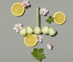 Marcel's Green Soap Toiletblok Geranium & Citroen - 55 Gram 9 Marcel's Green Soap Toiletblok Geranium & Citroen - 55 Gram -Ajax® Verkoop 1200x1023