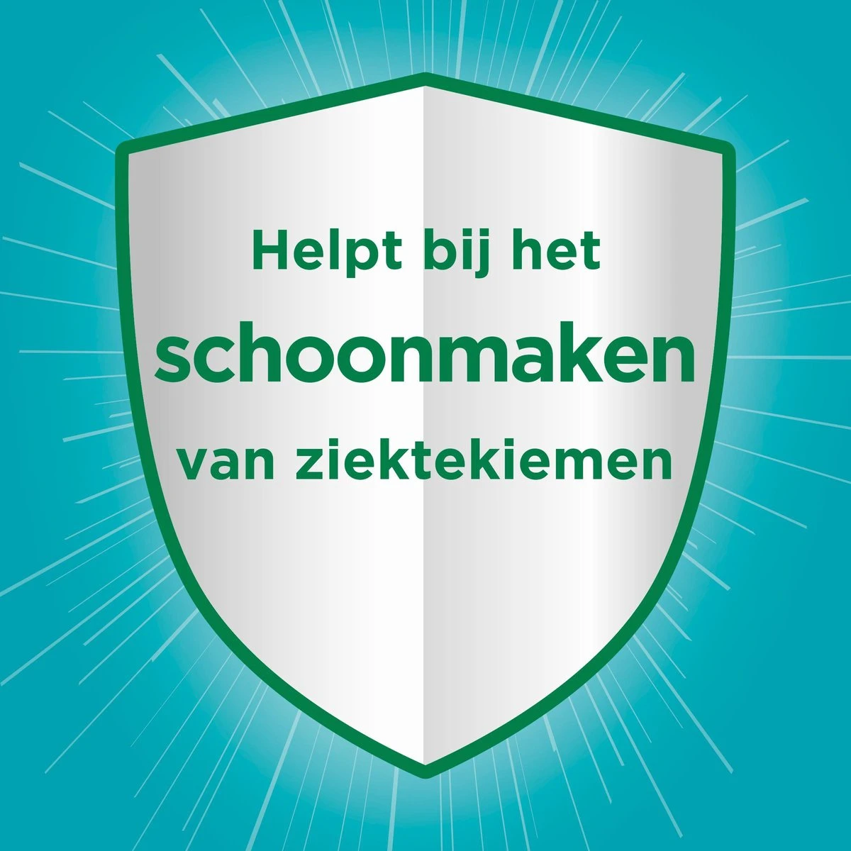 Ajax® Ajax Allesreiniger Eucalyptus 2 X 5L - Voordeelverpakking 7 Ajax® Ajax Allesreiniger Eucalyptus 2 X 5L - Voordeelverpakking - Afbeelding 7