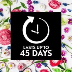 Air Wick Essential Mist Automatische Geurverspreider Luchtverfrisser - Innerlijke Rust - Navulling -Ajax® Verkoop 1200x1200 496