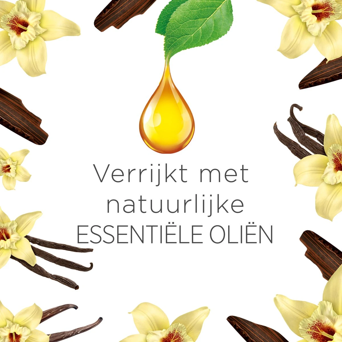 Air Wick Freshmatic Automatische Spray Luchtverfrisser - Ebbenhout & Vanille - 3 Navullingen 3 Air Wick Freshmatic Automatische Spray Luchtverfrisser - Ebbenhout & Vanille - 3 Navullingen - Afbeelding 3