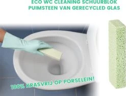 Cleaning Block - Puimsteen